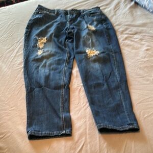 Lane Bryant Light Blue Boyfriend Jeans